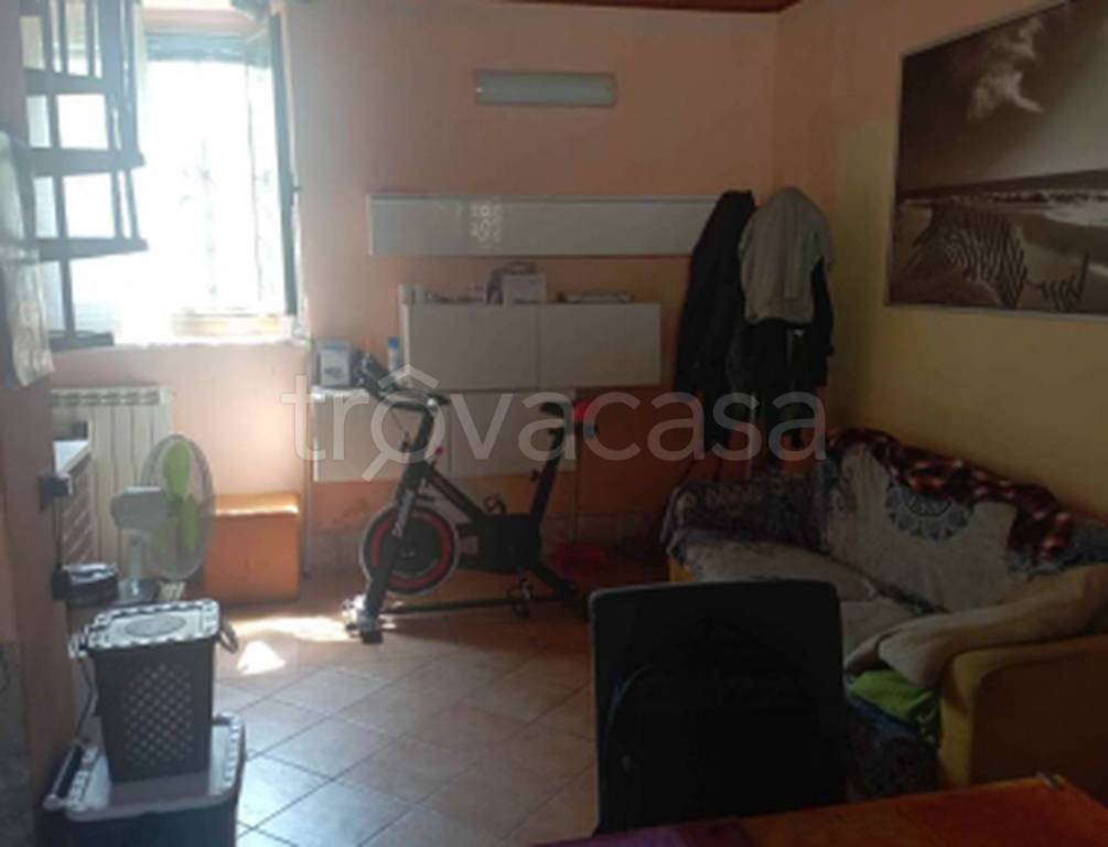 immagine annuncio 2 di 12