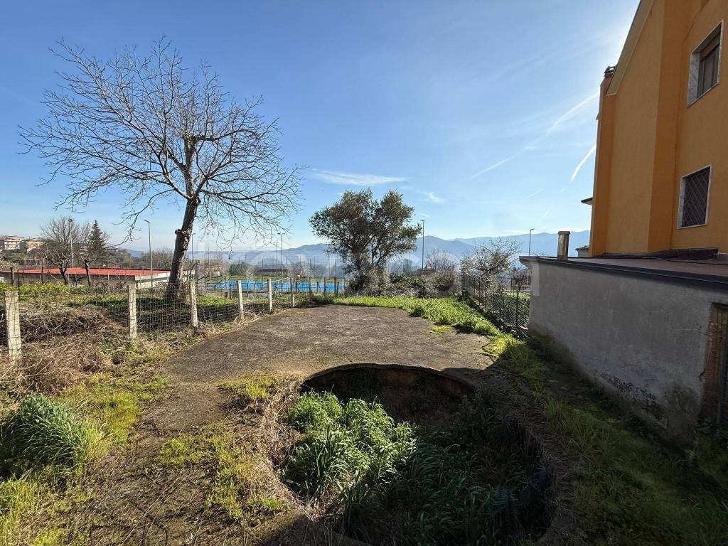 immagine annuncio 8 di 14