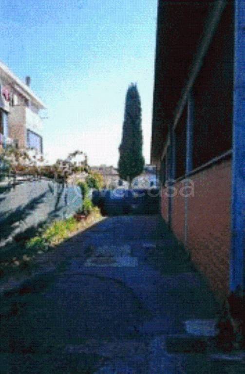 immagine annuncio 5 di 12