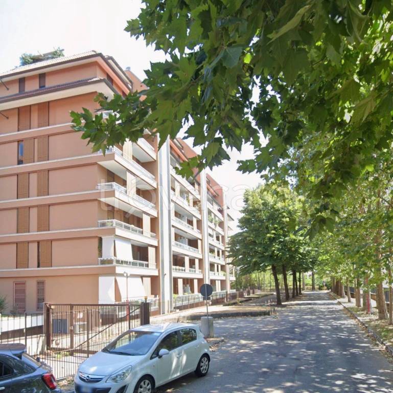 immagine annuncio 2 di 8