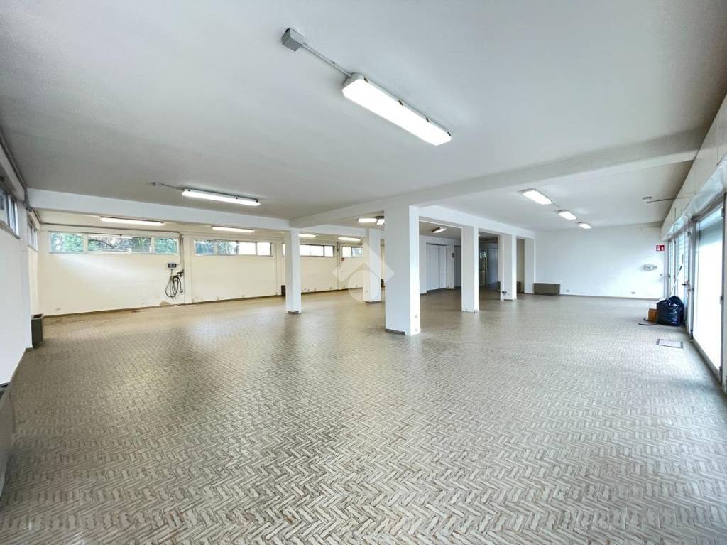 immagine annuncio 11 di 12