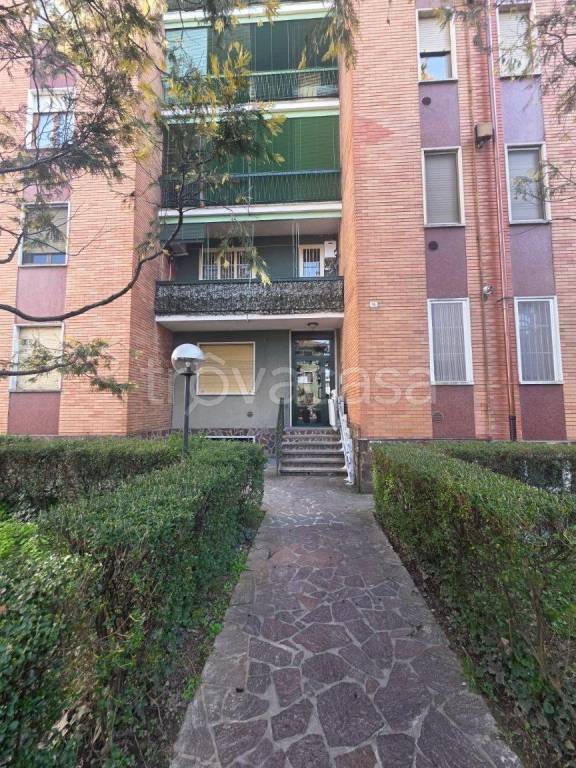 immagine annuncio 4 di 15