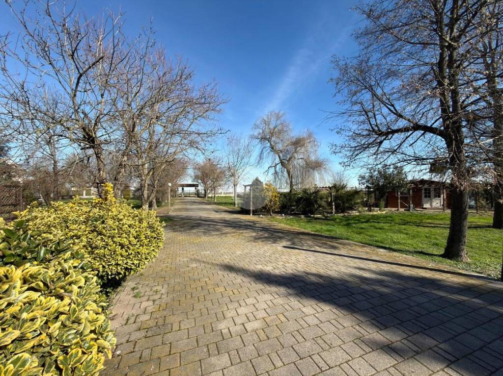 immagine annuncio 5 di 15