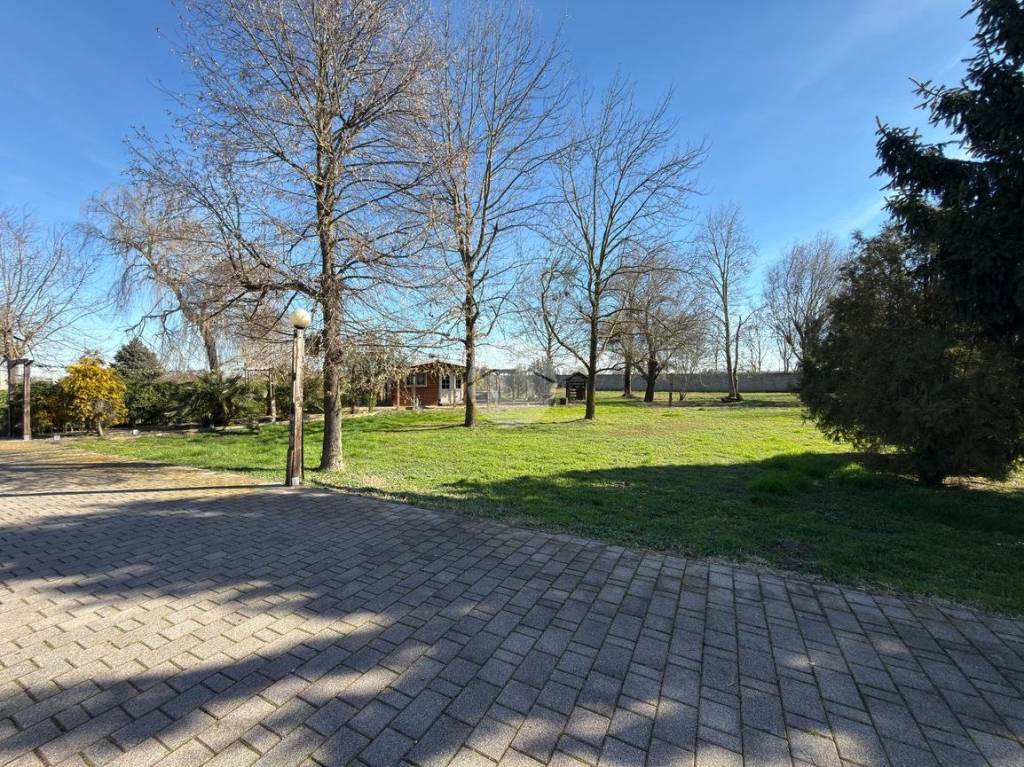 immagine annuncio 6 di 15