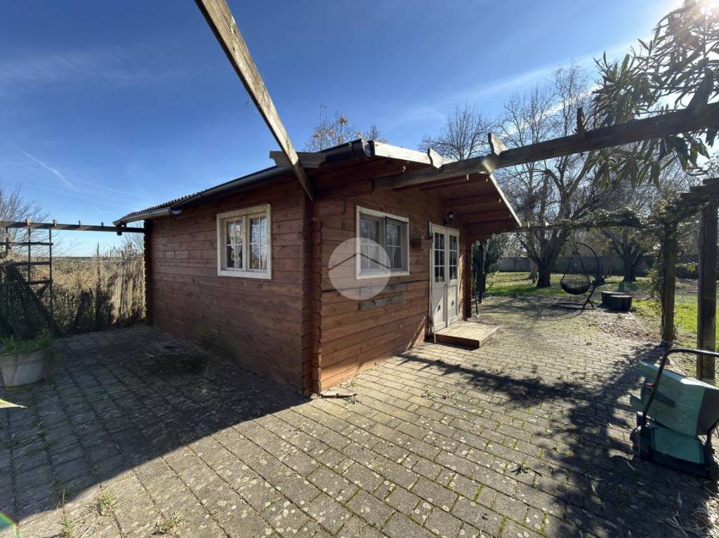 immagine annuncio 9 di 15