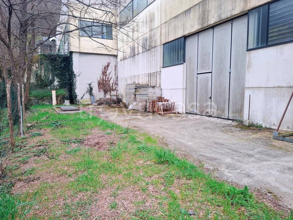 immagine annuncio 2 di 7