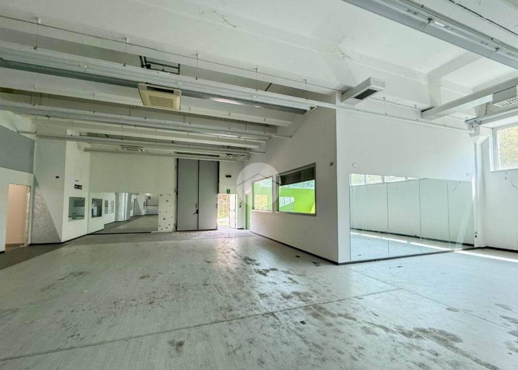 immagine annuncio 3 di 12