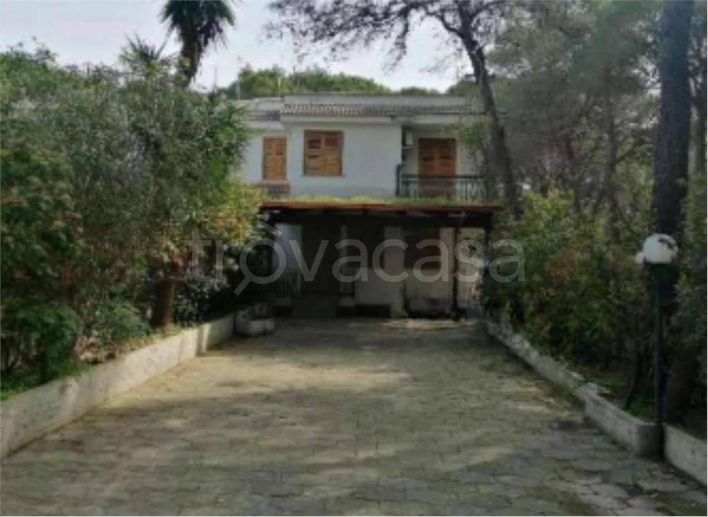 immagine annuncio 4 di 11