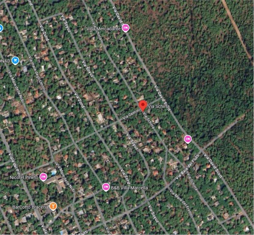 immagine annuncio 9 di 11