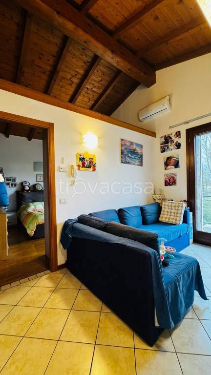 immagine annuncio 7 di 14