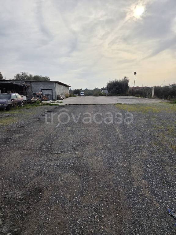 immagine annuncio 6 di 8