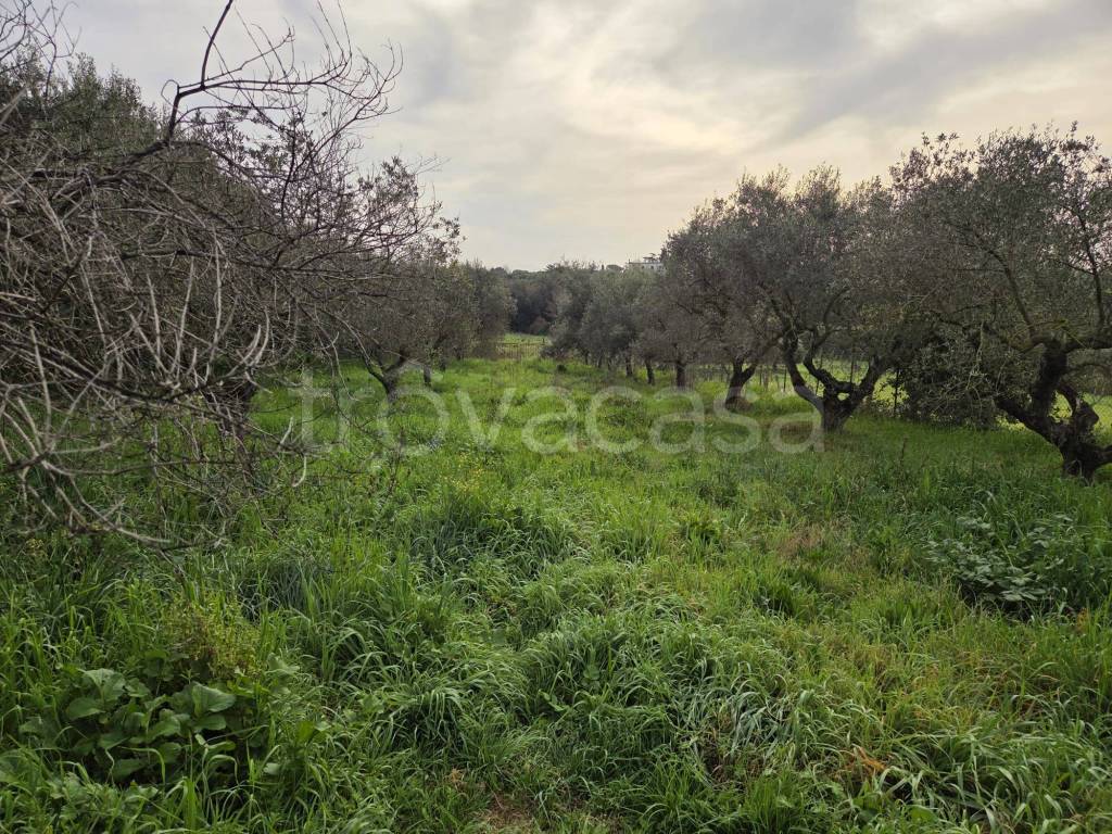 immagine annuncio 7 di 8