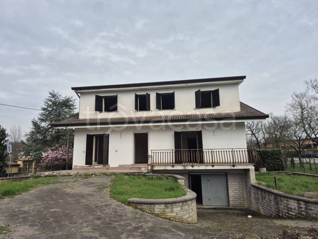 immagine annuncio 2 di 12