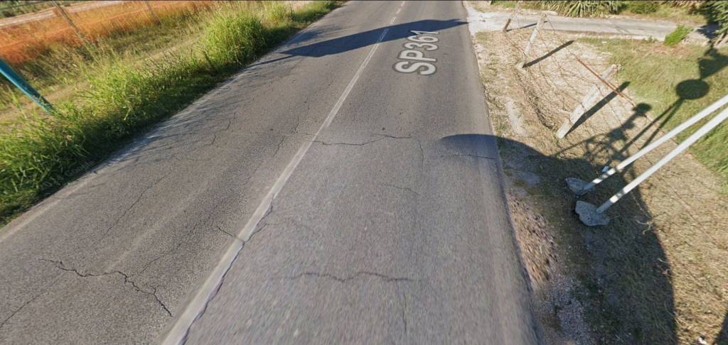 immagine annuncio 2 di 14