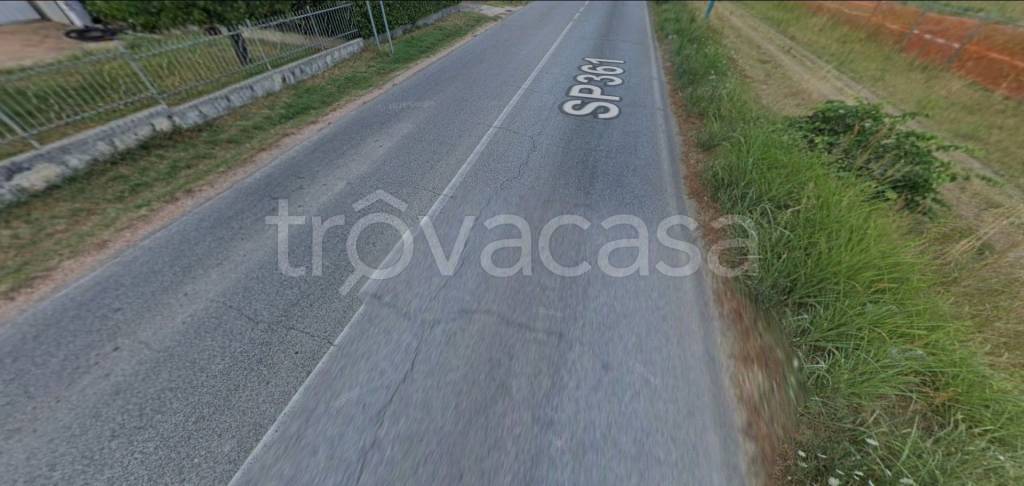 immagine annuncio 9 di 14