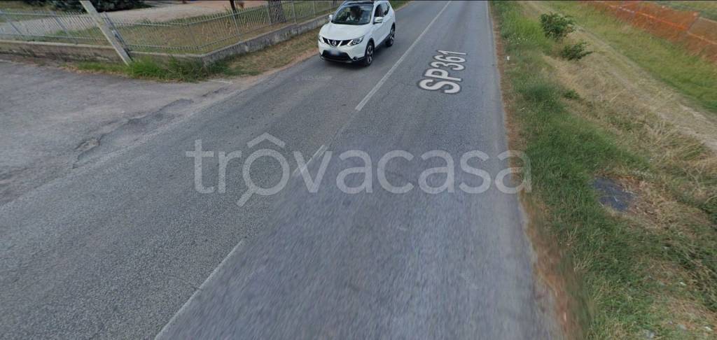 immagine annuncio 10 di 14