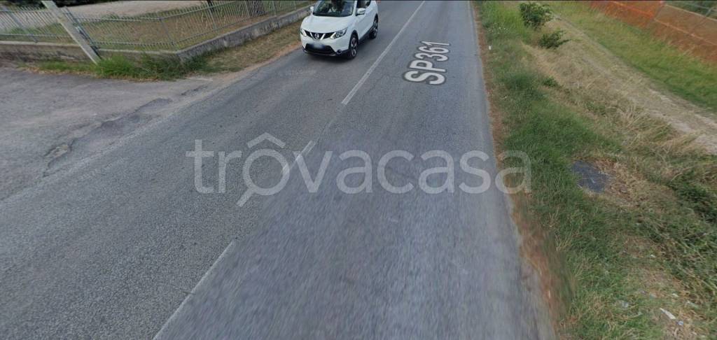 immagine annuncio 11 di 14