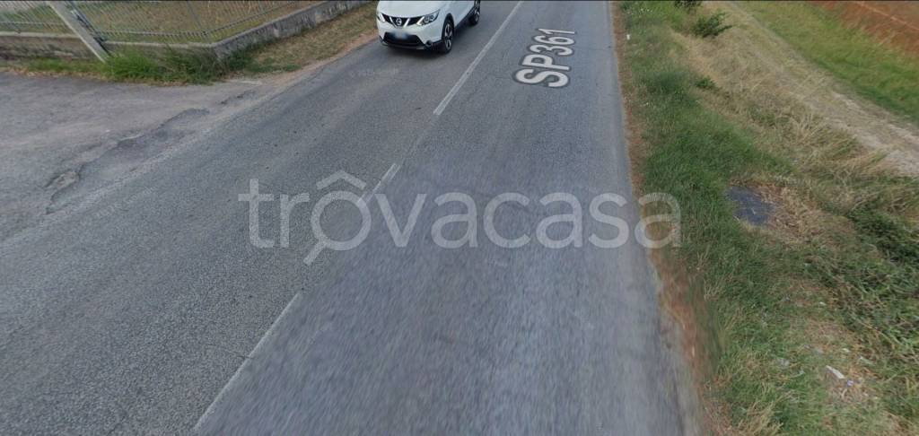 immagine annuncio 12 di 14