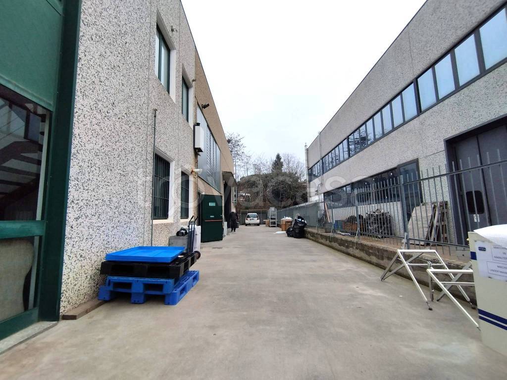 immagine annuncio 4 di 15