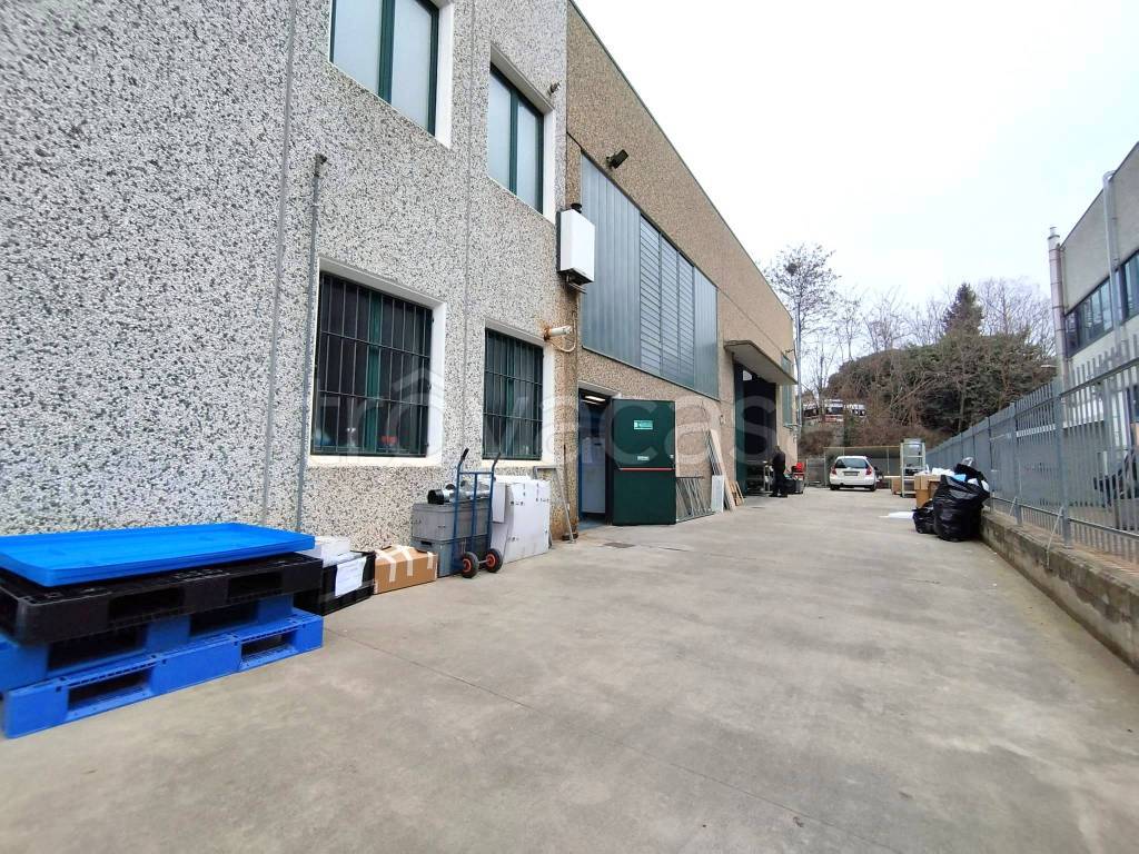 immagine annuncio 5 di 15