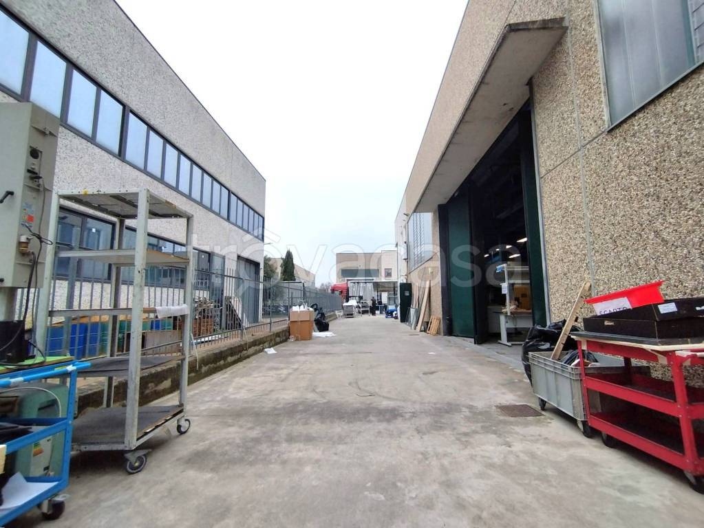 immagine annuncio 6 di 15