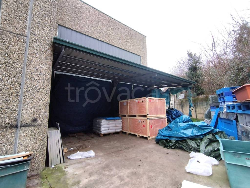 immagine annuncio 8 di 15