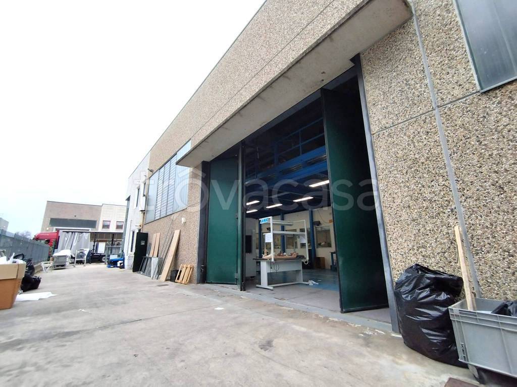 immagine annuncio 9 di 15