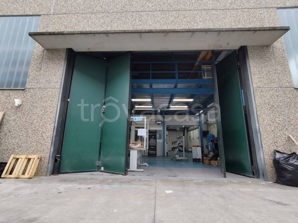 immagine annuncio 10 di 15