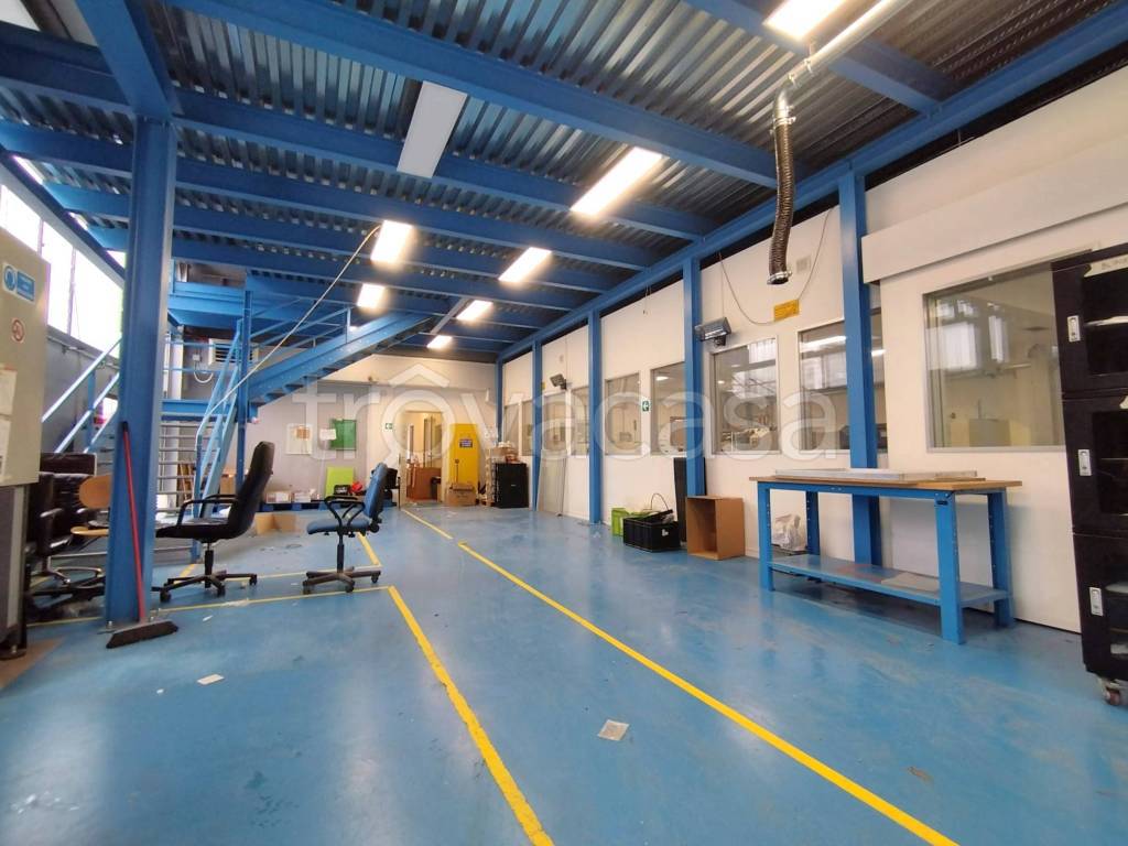 immagine annuncio 12 di 15