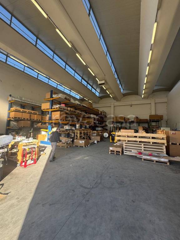 immagine annuncio 5 di 15