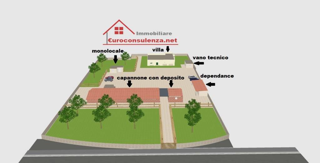 immagine annuncio 4 di 15
