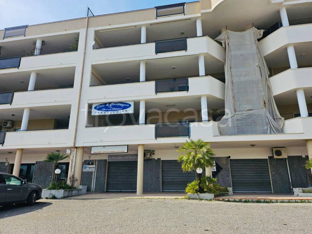 immagine annuncio 1 di 14