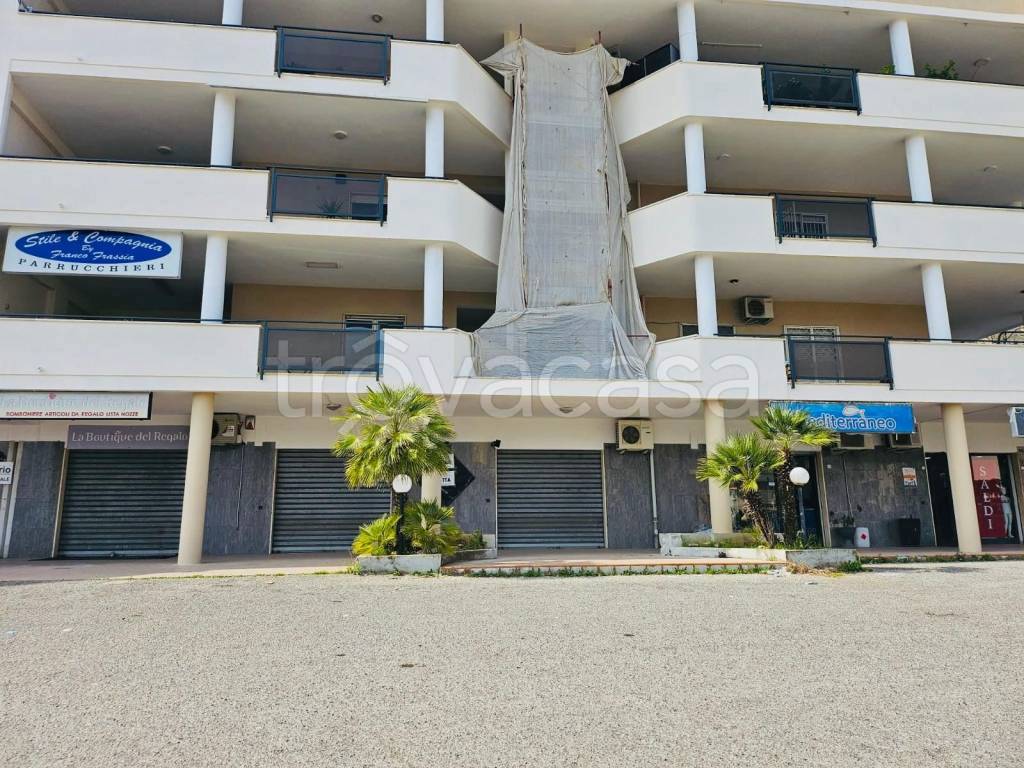 immagine annuncio 2 di 14