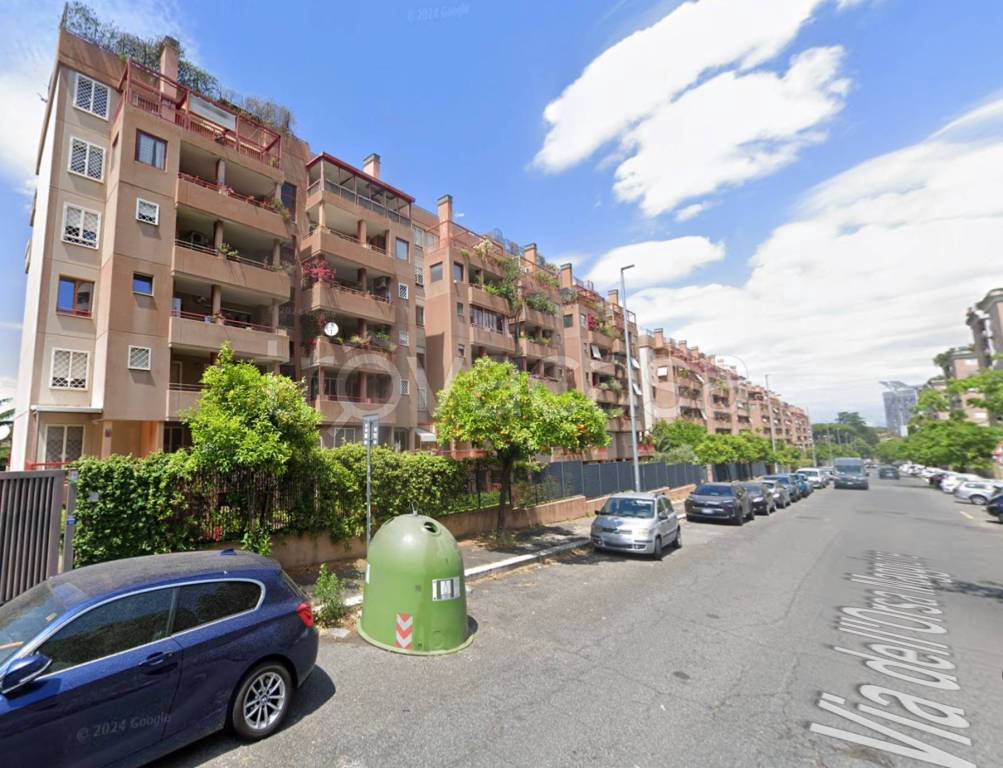 immagine annuncio 3 di 11