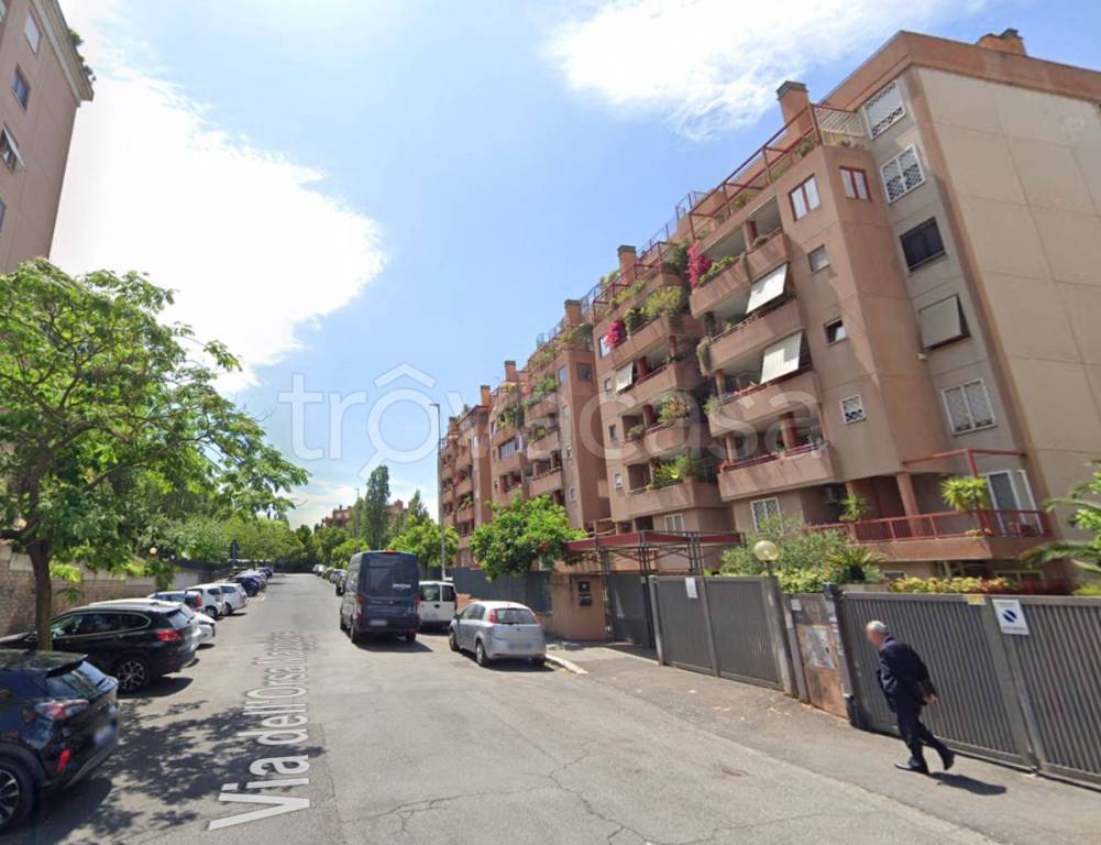 immagine annuncio 5 di 11