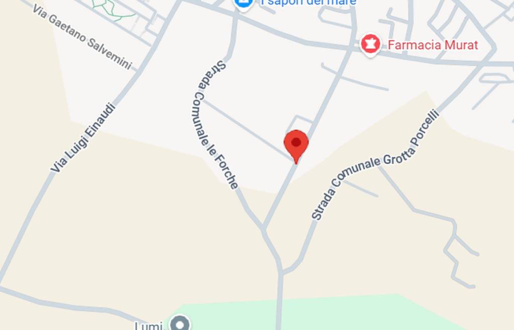 immagine annuncio 10 di 11