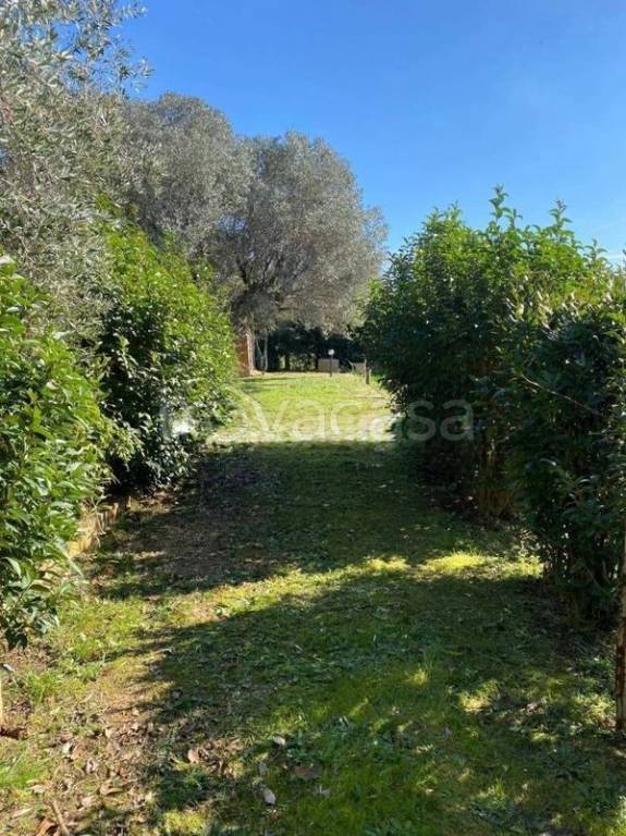 immagine annuncio 4 di 13