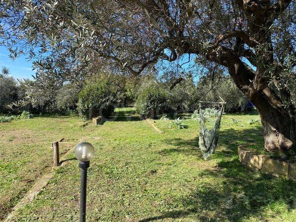 immagine annuncio 7 di 13