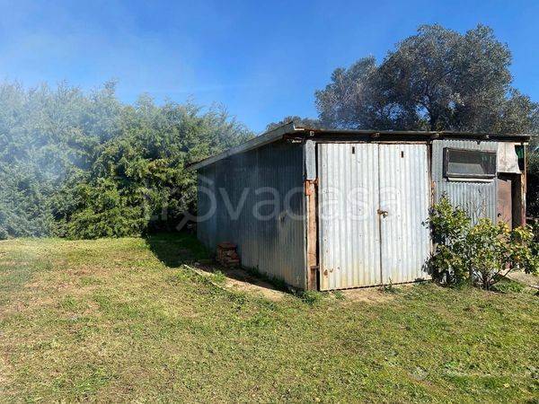 immagine annuncio 9 di 13