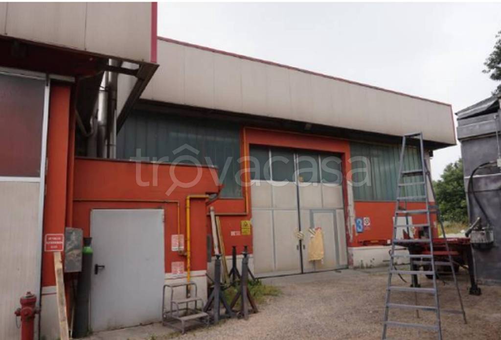 immagine annuncio 4 di 10