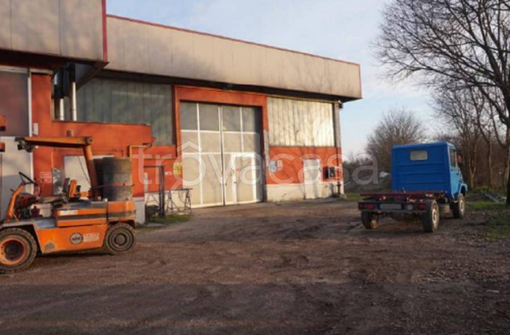 immagine annuncio 7 di 10