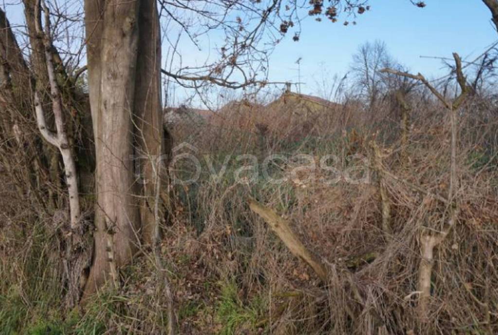 immagine annuncio 4 di 12