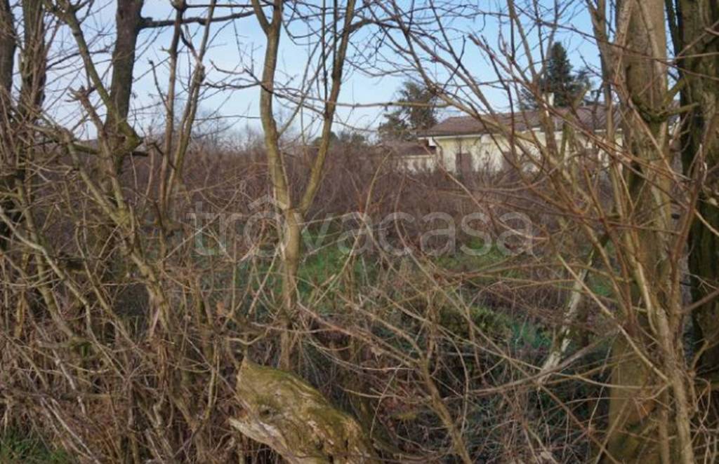 immagine annuncio 7 di 12