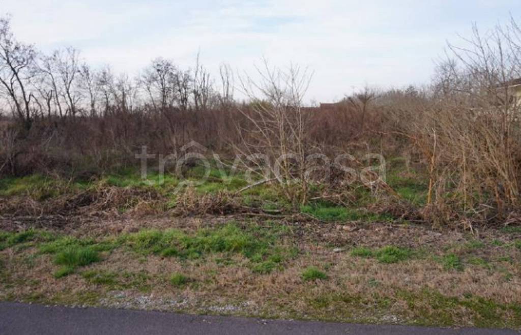 immagine annuncio 9 di 12