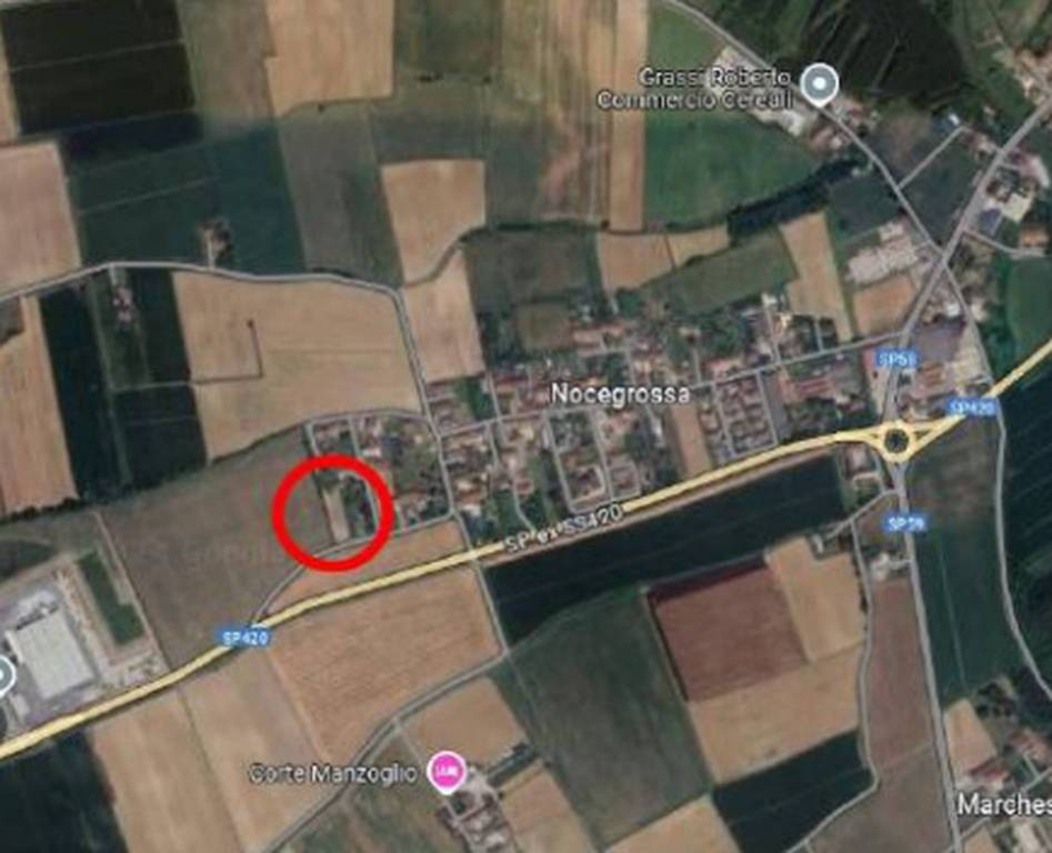 immagine annuncio 11 di 12