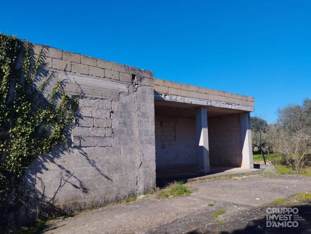 immagine annuncio 1 di 8