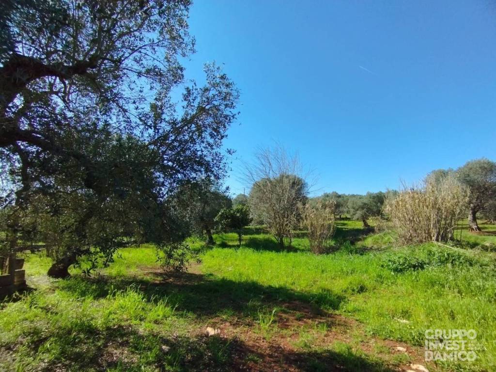 immagine annuncio 6 di 8