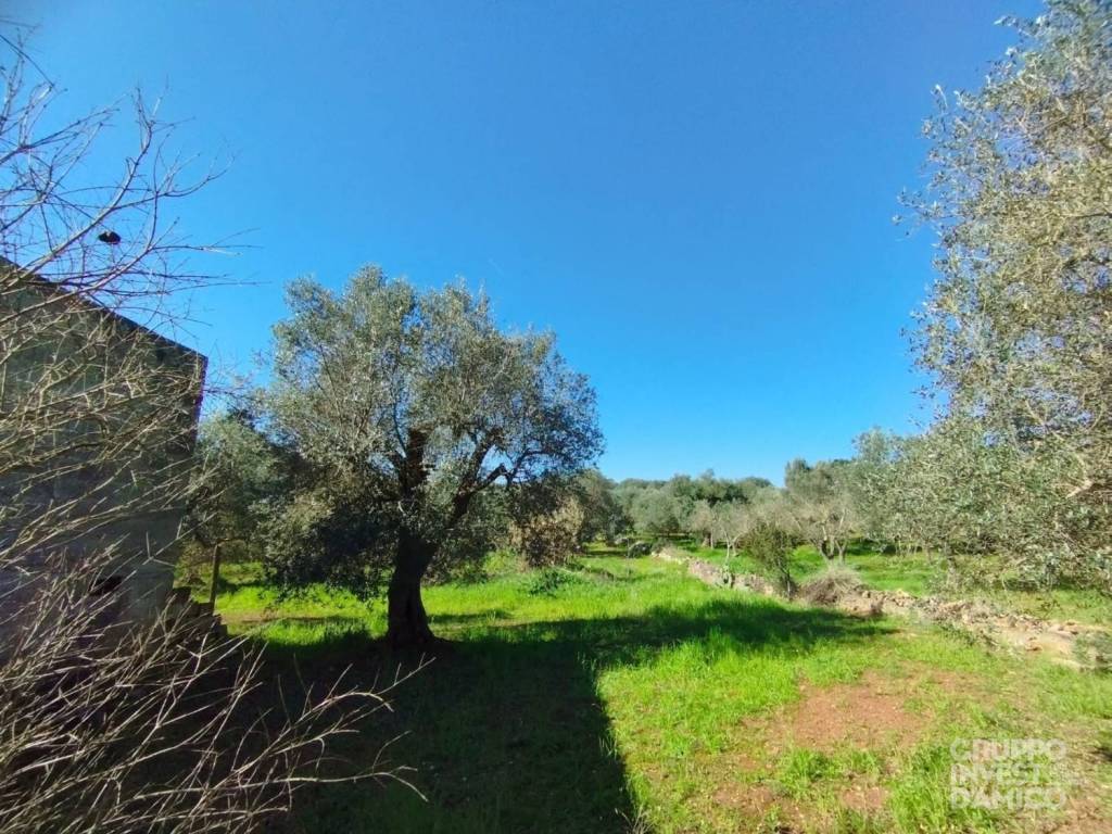 immagine annuncio 7 di 8