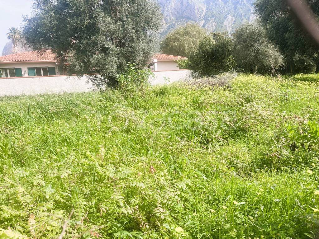 immagine annuncio 6 di 9