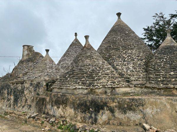 immagine annuncio 10 di 15